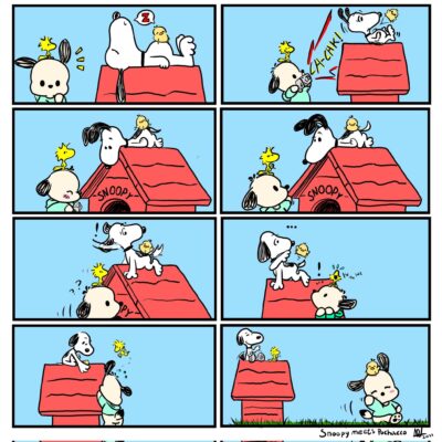 Exploring the Differences